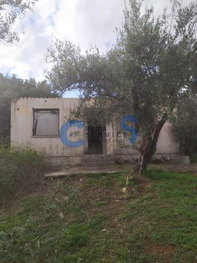 תמונת מגרש, אפוקורנס למכירה (1)