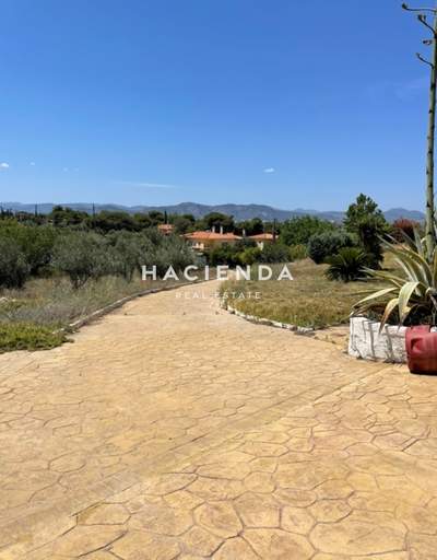 תמונת דופלקס, לוטראקי למכירה (1)