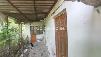 תמונת בית, פיאניה למכירה (0)