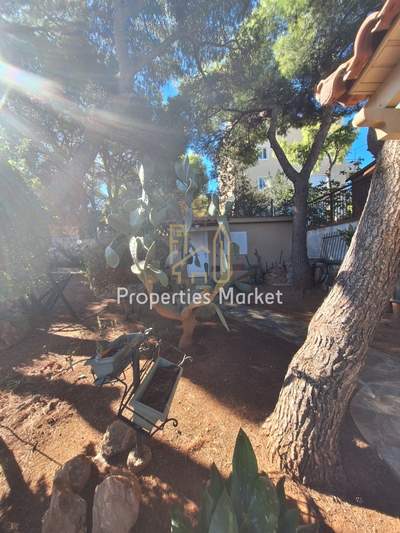 תמונת בית, סרוניקוס למכירה (0)