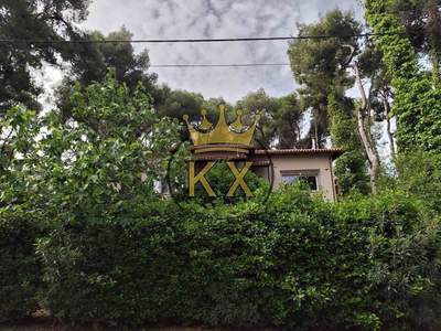 תמונת קיפיסיה, אתונה למכירה (0)