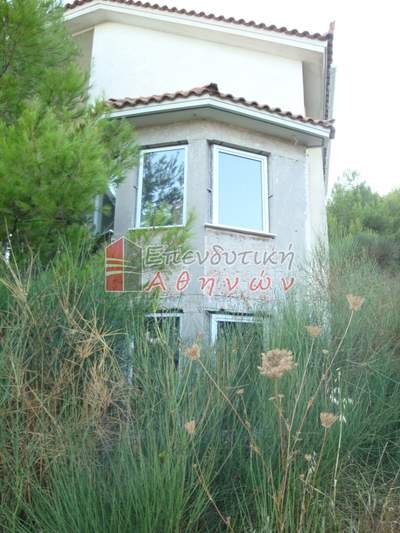 תמונת בית, אורופוס למכירה (1)