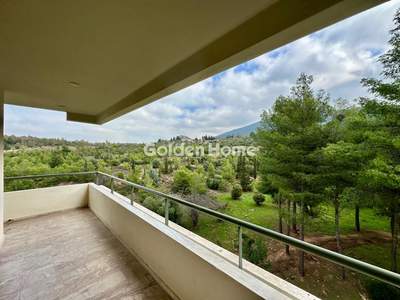 תמונת PENTHOUSE, פאפאגו למכירה (0)