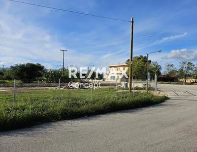 תמונת מגרש, זקינתוס למכירה (1)