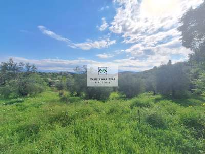 תמונת מגרש, צפון קורפו למכירה (1)