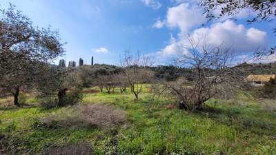 תמונת מגרש, קורפו למכירה (1)