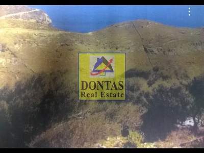 תמונת , קיאה למכירה (1)