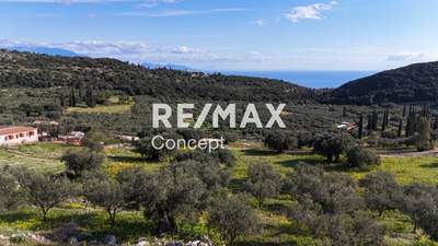 תמונת מגרש, רשות מקומית זקינתוס למכירה (0)