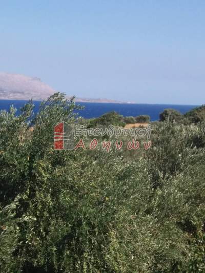 תמונת מגרש, קורופי למכירה (1)