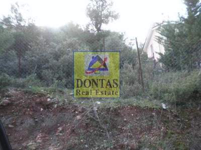 תמונת מגרש, דיוניסוס, אתונה למכירה (0)