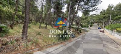 תמונת מגרש, דיוניסוס, אתונה למכירה (0)