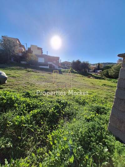 תמונת סרוניקוס, אתונה למכירה (0)