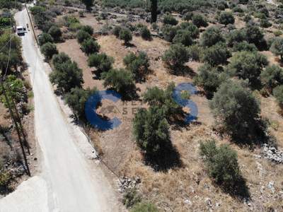 תמונת מגרש, אפוקורנס למכירה (0)