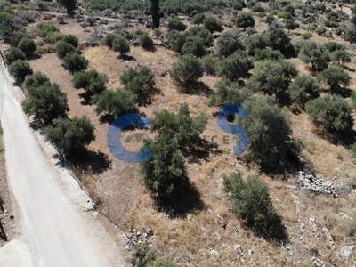 תמונת מגרש, אפוקורנס למכירה (1)