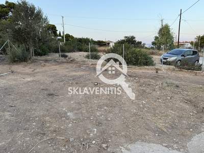 תמונת מגרש, ראפינה - פיקרמי למכירה (0)