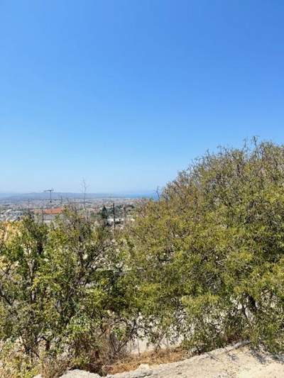 תמונת מגרש, חאלפה, חאניה, כרתים למכירה (0)