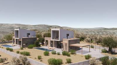 תמונת פסטוס למכירה (0)