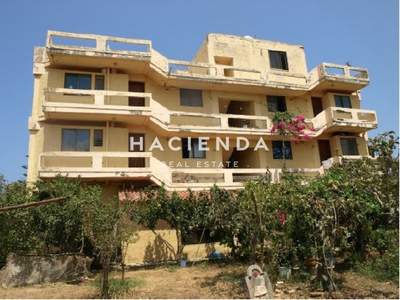 תמונת בניין, פלטניאס למכירה (0)