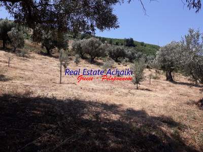 תמונת שטח חקלאי, איגאליאה, פלופונס למכירה (0)