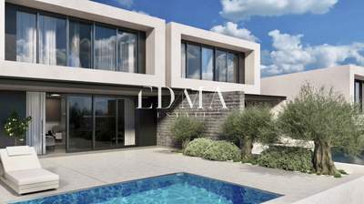 תמונת דופלקס, קסנדרה למכירה (1)