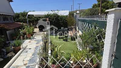 תמונת בית, קורופי למכירה (1)