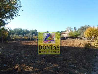 תמונת בית פרטי, אורופוס למכירה (1)