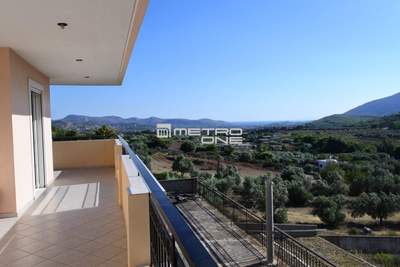 תמונת קורופי למכירה (1)