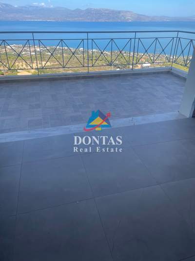 תמונת אורופוס, אתונה למכירה (0)