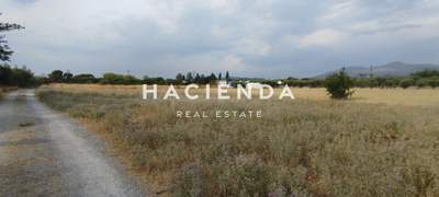 תמונת שטח חקלאי, תרמי למכירה (0)