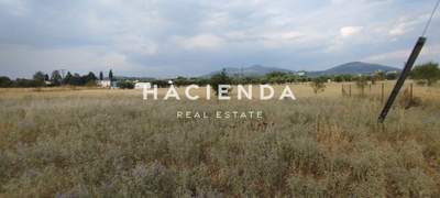 תמונת שטח חקלאי, תרמי למכירה (1)