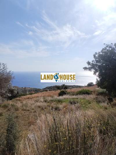 תמונת מגרש, אגיוס וסיליוס למכירה (1)