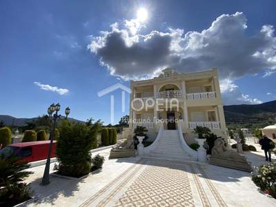 תמונת וילה, סרוניקוס למכירה (1)