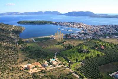 תמונת בית פרטי, ארמיונידה, פלופונס למכירה (1)