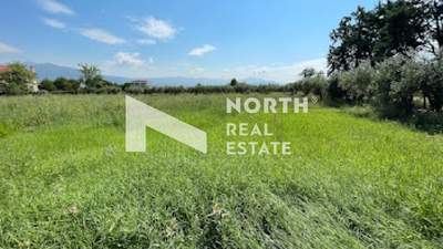 תמונת שטח חקלאי, תרמיקוס למכירה (0)