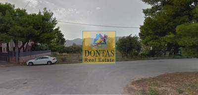 תמונת מגרש, קיפיסיה למכירה (0)