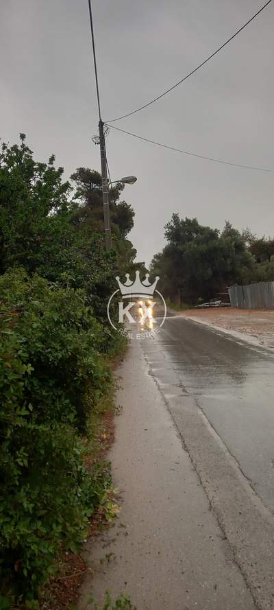 תמונת מגרש, מרוסי למכירה (0)