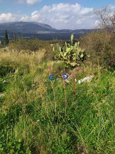 תמונת מגרש, אפוקורנס, כרתים למכירה (1)