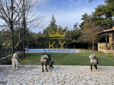 תמונת בית, דיוניסוס, אתונה למכירה (0)