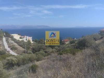 תמונת מגרש, מרתון למכירה (1)