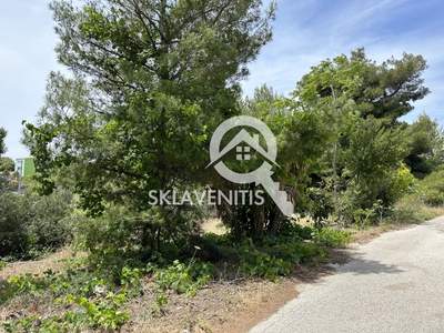 תמונת ספטה ארטמידה למכירה (1)