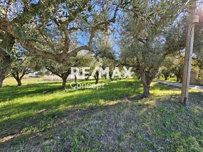 תמונת זקינתוס למכירה (1)