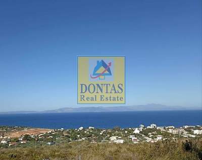 תמונת מגרש, מרתון למכירה (0)