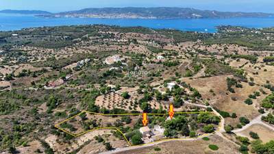 תמונת דופלקס, ארמיונידה, פלופונס למכירה (1)