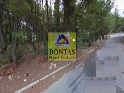 תמונת מגרש, דיוניסוס, אתונה למכירה (1)