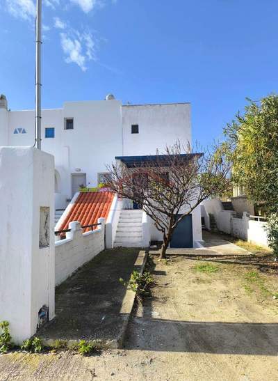 תמונת דופלקס, נקסוס למכירה (1)