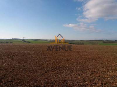 תמונת שטח חקלאי, קסנדרה למכירה (1)