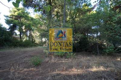 תמונת מגרש, קיפיסיה למכירה (1)