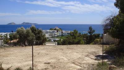 תמונת ארמיונידה, פלופונס למכירה (1)