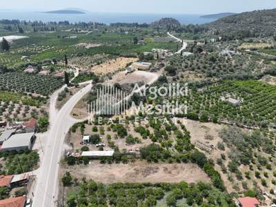 תמונת שטח חקלאי, נאפפליו, פלופונס למכירה (1)