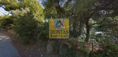 תמונת מגרש, דיוניסוס, אתונה למכירה (1)